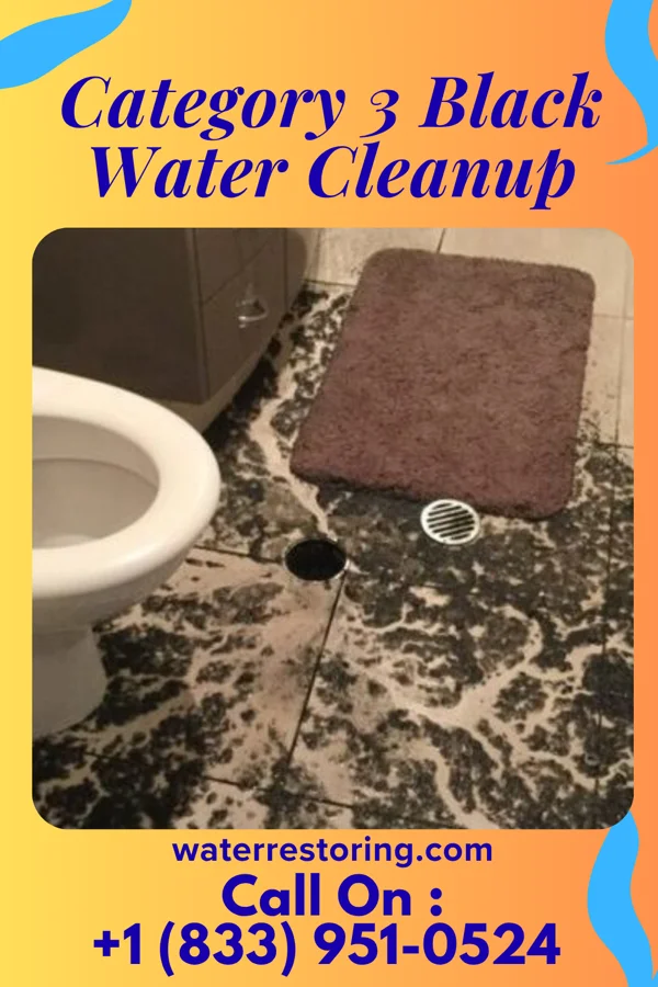 Category 3 Black Water Cleanup in Foster, OK